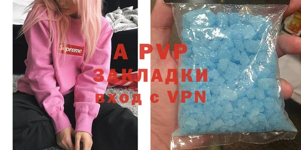 2c-b Бородино