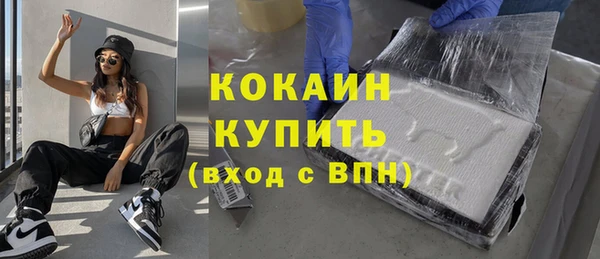 2c-b Бородино