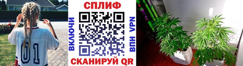 Купить закладки  Городец  Канабис Bruce Banner 